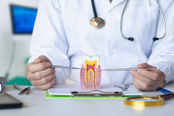 Best Broken or Cracked Tooth Emergency Dentist in Shelby, OH
